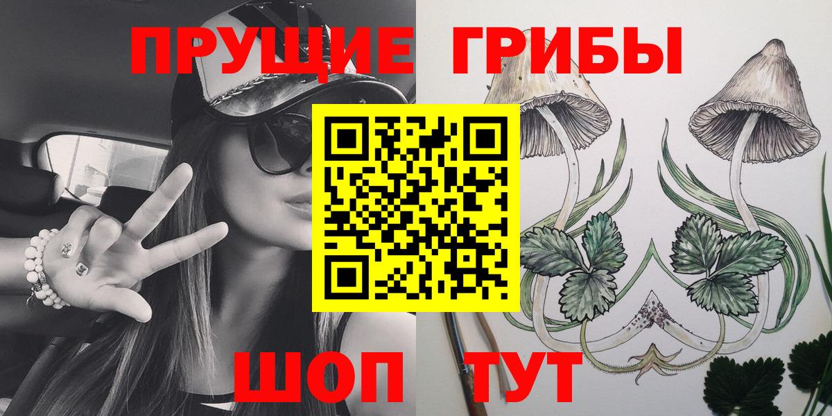 Горячий Ключ  Псилоцибиновые грибы прущие грибы  как найти наркотики  Вход с VPN 