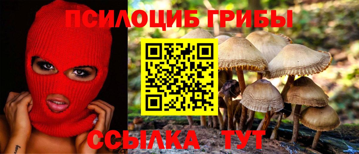 Псилоцибиновые грибы мицелий Горячий Ключ